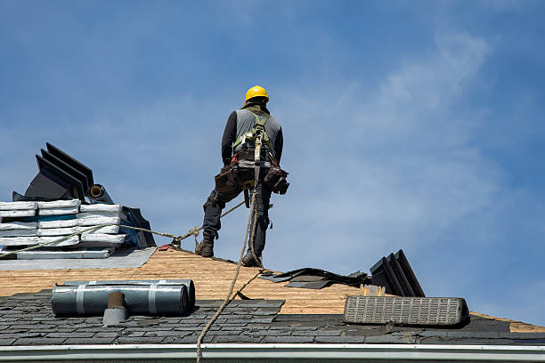 Professional Roof Inspection technician working in Dundee, FL
